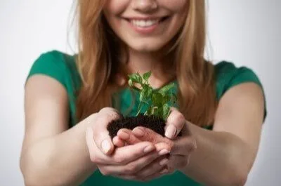 mentalitate de succes